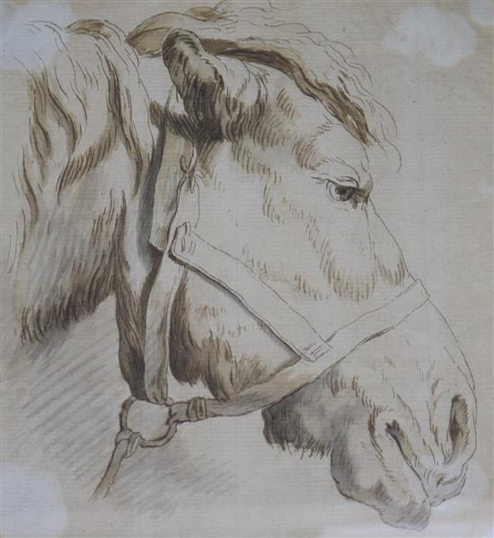English School, c.1820 Study of a horses head 17 x 15cm